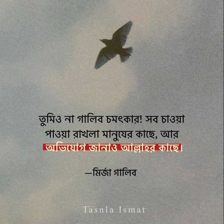 অর্থসহ ২০টি জনপ্রিয় উর্দু শায়েরী