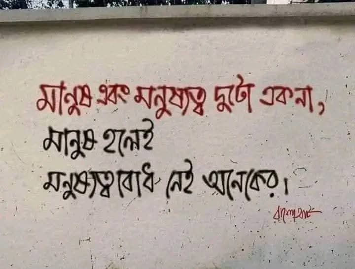 অর্থসহ ২০টি জনপ্রিয় উর্দু শায়েরী